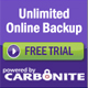 Online Backup: Easy, Complete Automatic. Secure. Carbonite.